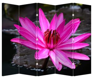 Paraván - Růžový květ (210x170 cm)