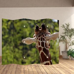 Paraván - Žirafa zezadu (210x170 cm)