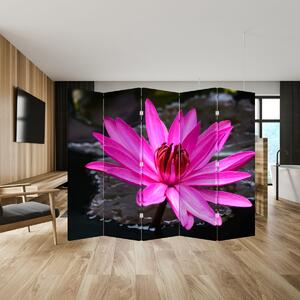Paraván - Růžový květ (210x170 cm)