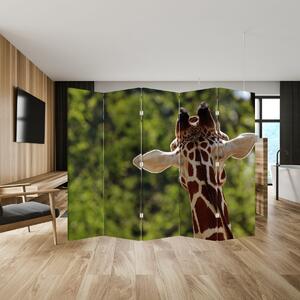 Paraván - Žirafa zezadu (210x170 cm)