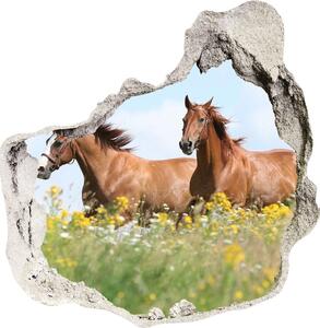 Díra 3D fototapeta Dva koně ve cvalu nd-p-71484450