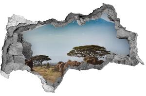 Díra 3D fototapeta Sloni Kilimandžáro nd-b-100418826