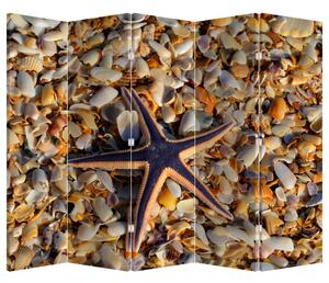 Paraván - Mořská hvězdice (210x170 cm)