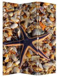 Paraván - Mořská hvězdice (126x170 cm)
