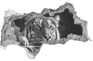 Díra 3D fototapeta nálepka Tygr nd-b-101258480