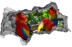 Díra 3D fototapeta nálepka Papoušek Ara nd-b-101702658