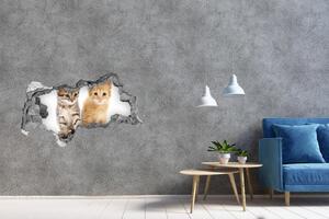 Díra 3D fototapeta na stěnu Hnědá a červená kočka nd-b-101681955