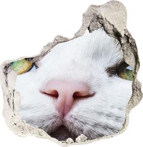 Díra 3D fototapeta nálepka Zelená kočičí oči nd-p-72425776