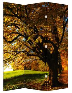 Paraván - Podzimní strom (126x170 cm)