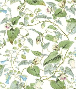 Květinová vliesová tapeta na zeď, BL1711, Blooms Second Edition Resource Library, York