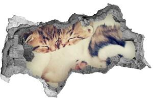 Díra 3D fototapeta na stěnu Dvě kočky a pes nd-b-78906407