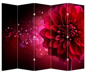 Paraván - Červená květina (210x170 cm)