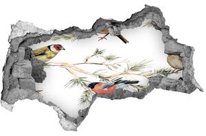 Díra 3D fototapeta Lesní ptáci rostliny nd-b-80184720
