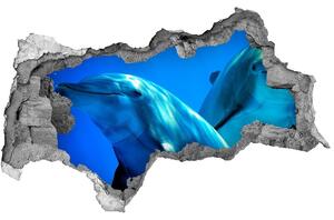 Díra 3D fototapeta nástěnná Dva delfíni nd-b-16277956