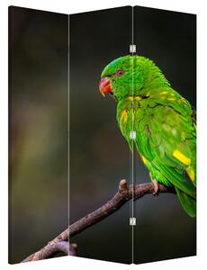 Paraván - Papoušek na větvi (126x170 cm)