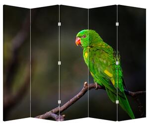 Paraván - Papoušek na větvi (210x170 cm)