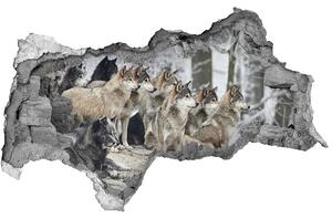 Díra 3D fototapeta nástěnná Nálepka vlci zimou nd-b-171243935