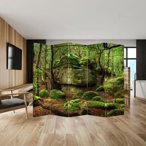Paraván - Kouzelný les (210x170 cm)