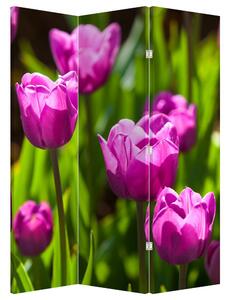 Paraván - Tulipány na louce (126x170 cm)
