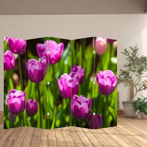 Paraván - Tulipány na louce (210x170 cm)