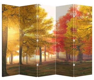 Paraván - Podzimní stromy (210x170 cm)