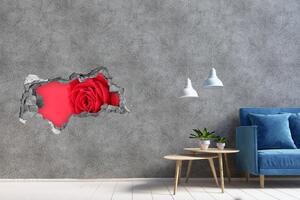 Díra 3D fototapeta na stěnu Červená růže nd-b-77656963