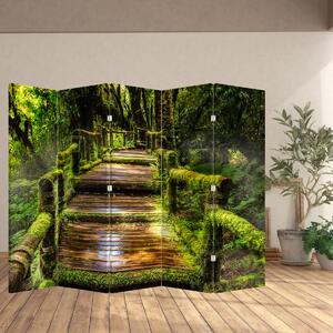 Paraván - Schody v deštném pralese (210x170 cm)