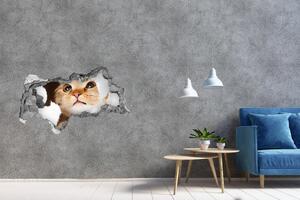 Díra 3D fototapeta na stěnu Kočka v díře nd-b-33902265
