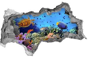 Díra 3D fototapeta nálepka Korálový útes nd-b-35544351