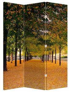 Paraván - Alej podzimních stromů (126x170 cm)