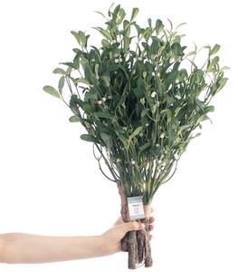 AmeliaHome Umělá květina PLANTI 10 ks tmavě zelená