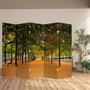 Paraván - Alej podzimních stromů (210x170 cm)