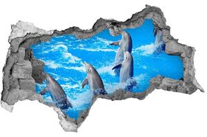Díra 3D fototapeta na stěnu nálepka Delfíni nd-b-39687572