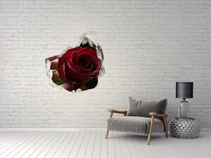 Fotoobraz díra na stěnu Žena s růží nd-p-6668624