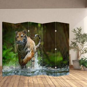 Paraván - Běžící tygr (210x170 cm)