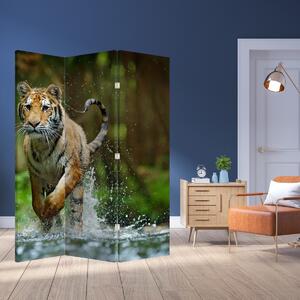 Paraván - Běžící tygr (126x170 cm)