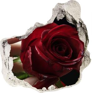 Fotoobraz díra na stěnu Žena s růží nd-p-6668624