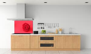 Panel do kuchyně Červená růže pl-pksh-100x70-f-77656963