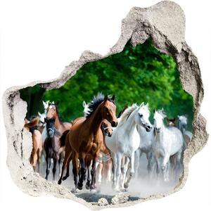 Díra 3D fototapeta nálepka Koně ve cvalu nd-p-67489944