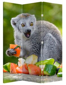 Paraván - Lemur (126x170 cm)