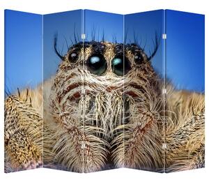 Paraván - Detail pavouka (210x170 cm)