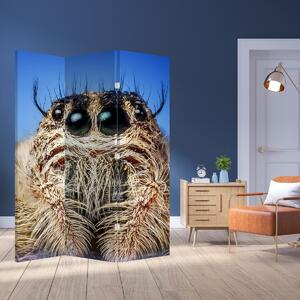 Paraván - Detail pavouka (126x170 cm)