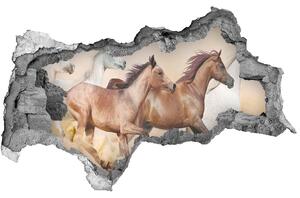 Díra 3D fototapeta nálepka Koně ve cvalu nd-b-56781097