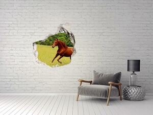 Díra 3D fototapeta na stěnu Kůň na louce nd-p-68119926