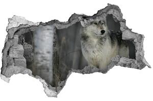 Díra 3D fototapeta na stěnu Šedý vlk nd-b-57875164