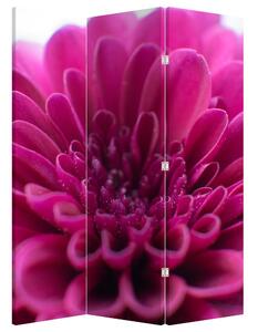 Paraván - Květina (126x170 cm)