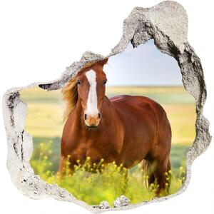 Díra 3D fototapeta nálepka Hnědý kůň nd-p-111439137