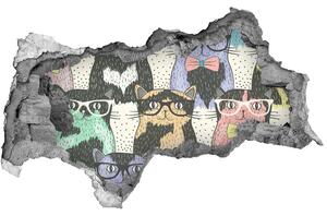 Díra 3D fototapeta nálepka Kočky v brýlích nd-b-58024892