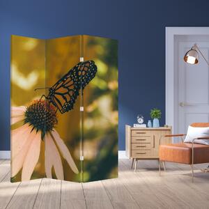 Paraván - Motýl na květině (126x170 cm)