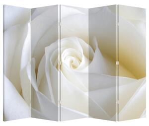 Paraván - Bílá růže (210x170 cm)